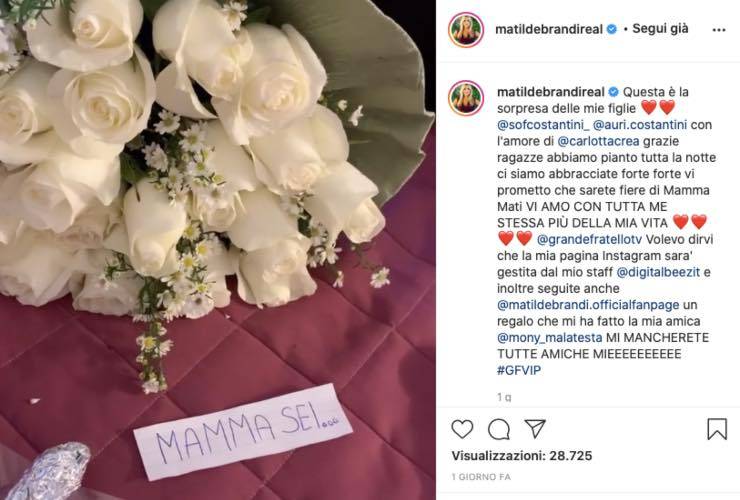 Matilde Brandi entra al GF Vip, ma in famiglia c'è chi piange per lei