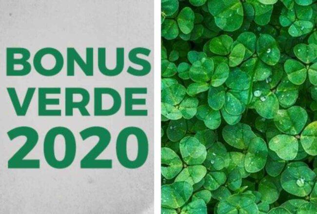 Bonus verde 2020: scopriamo cos'è ed in cosa consiste