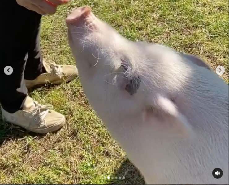 Caterina Balivo a spasso con Dior: "l'alternativa" che sorprende i fan