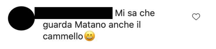 Barbara D'Urso mostra il 'fidanzato', ironia dei fan: "Anche lui guarda Matano"