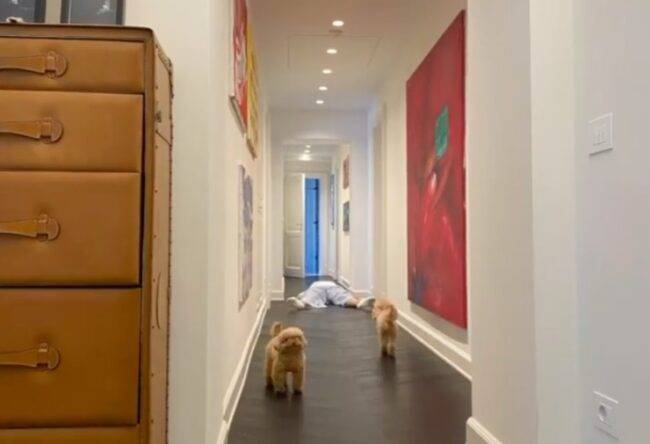 Michelle Hunziker, avete mai visto la sua casa? È davvero spettacolare!