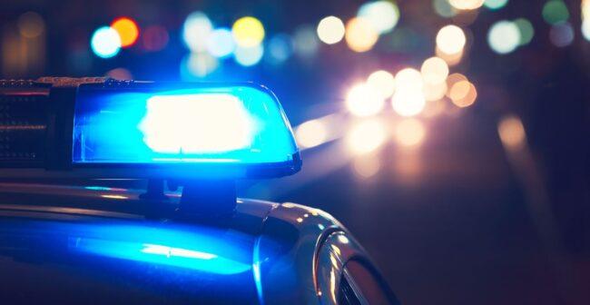 polizia, carabinieri, truffa, furto