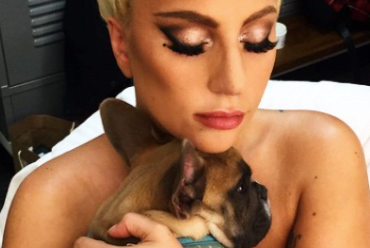 Dramma Lady Gaga, sparano al dog sitter e rapiscono i suoi cani