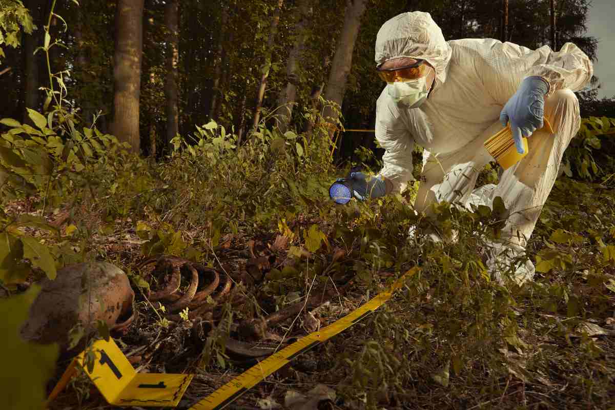 Immagine di repertorio (AdobeStock)