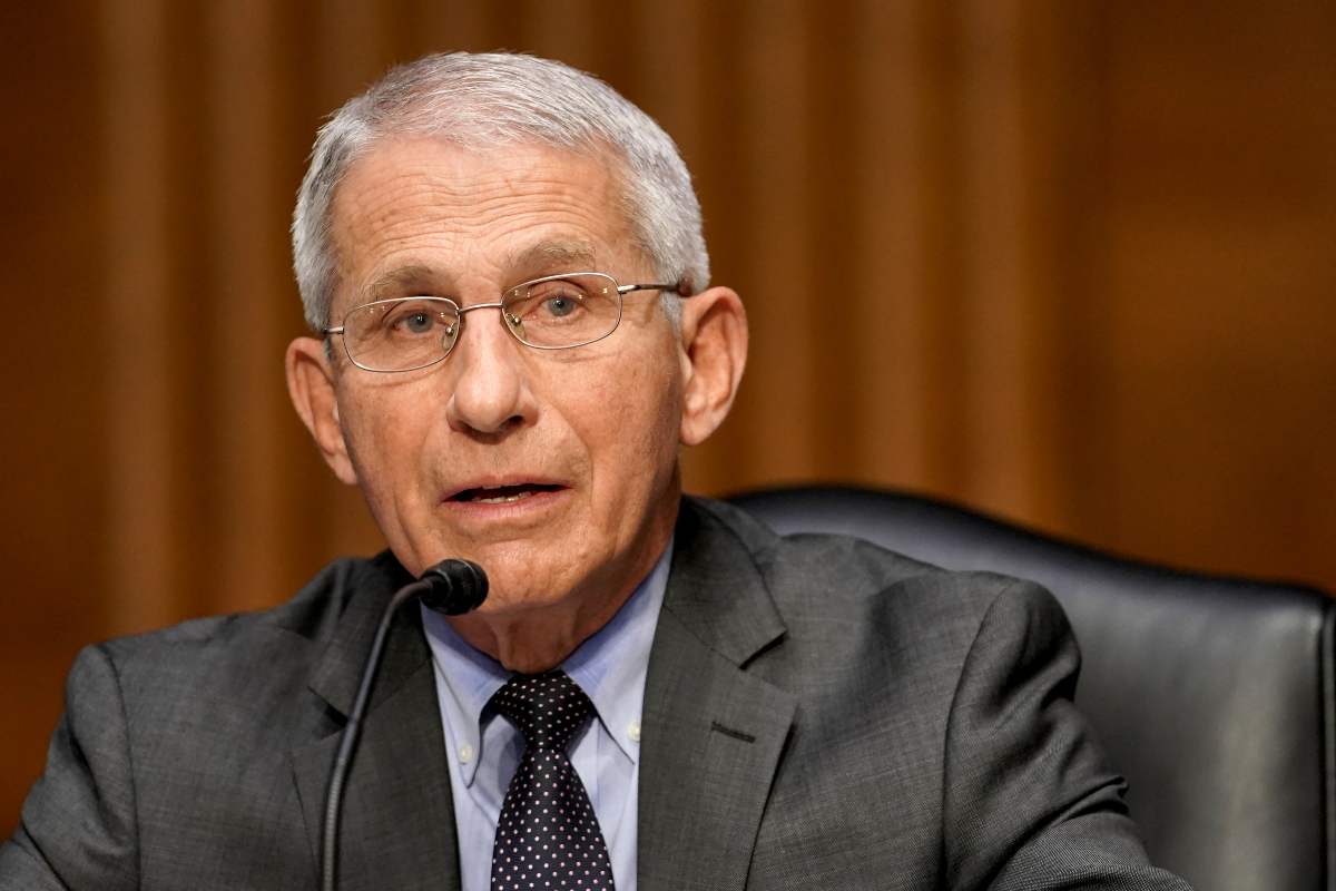 Anthony Fauci: FauciGate (GettyImages)