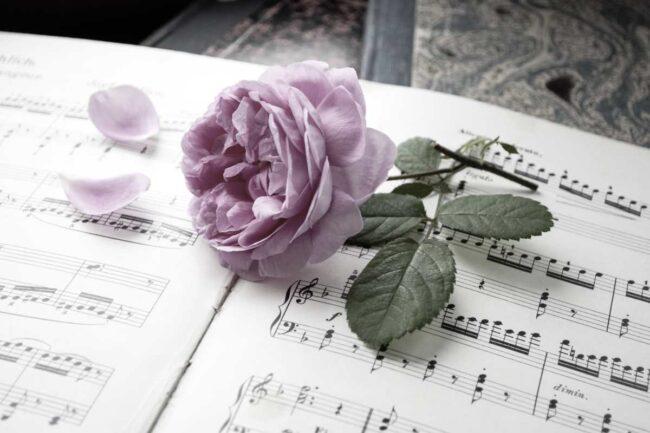 Lutto nella musica (AdobeStock)