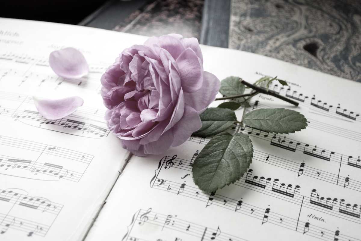 Lutto nella musica (AdobeStock)