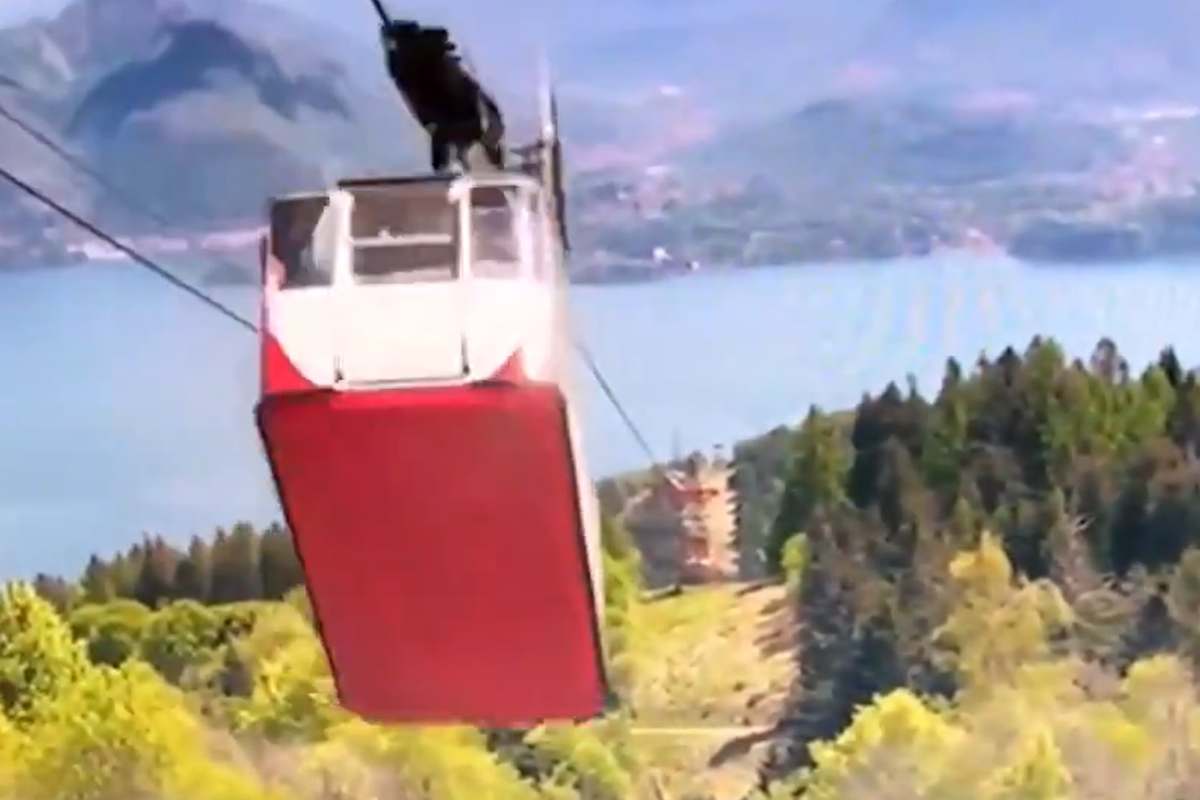 Strage Stresa (Twitter)