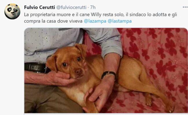 Willy Cane sindaco Teresa morta (1)