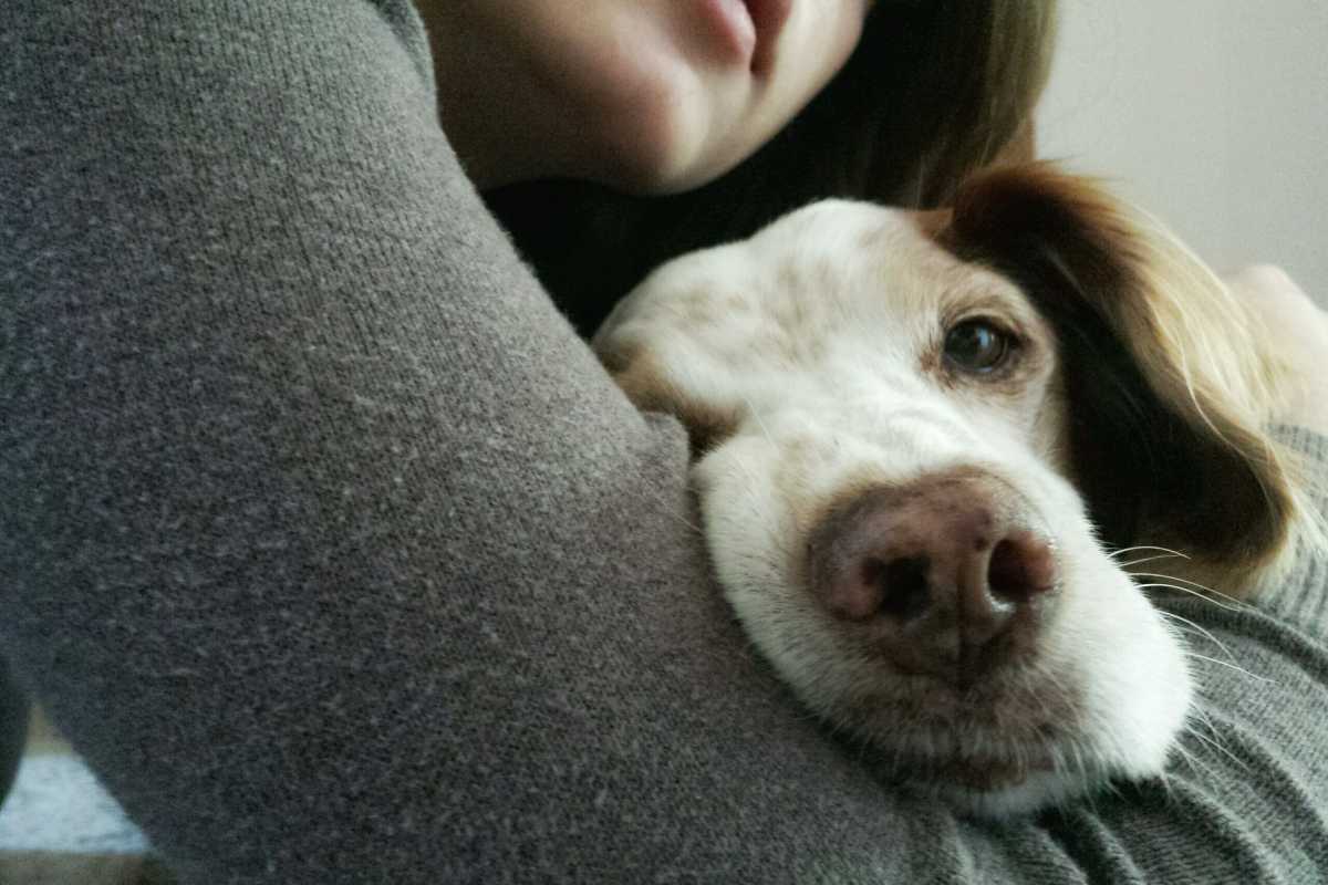 Cane e padrone (AdobeStock)