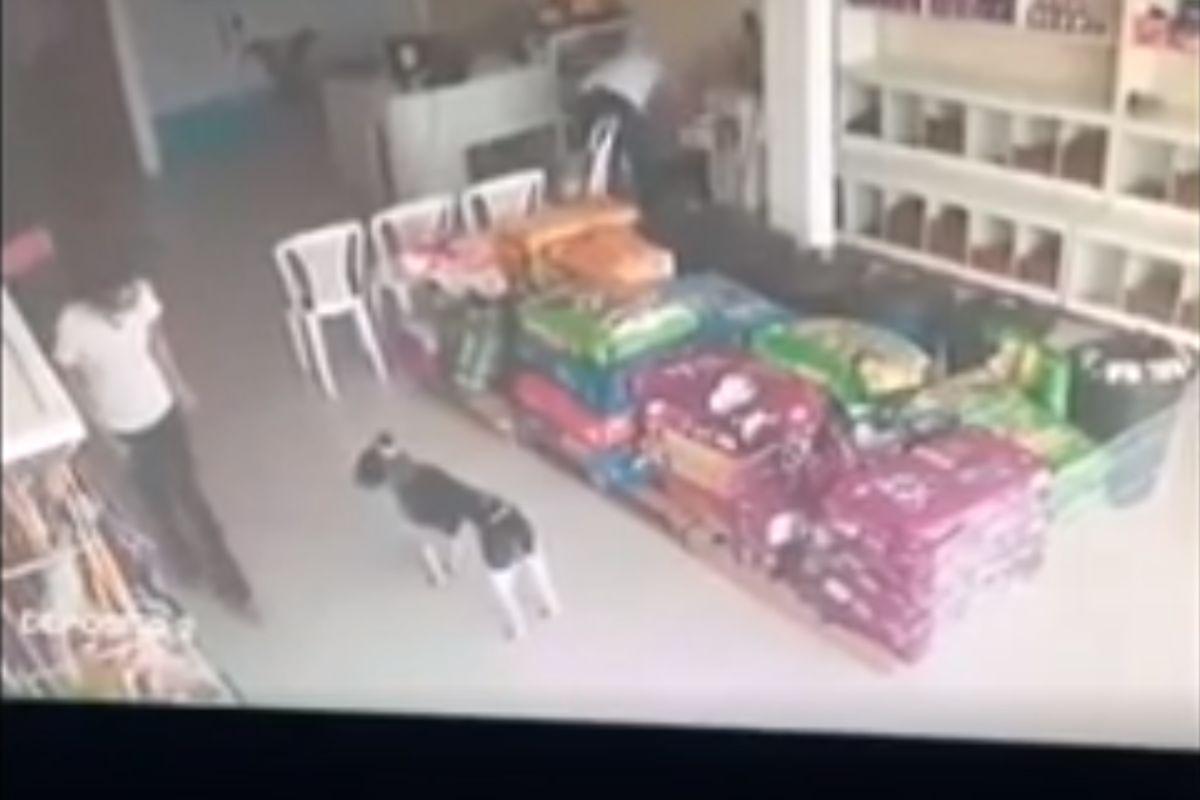 Cane in clinica (Instagram)