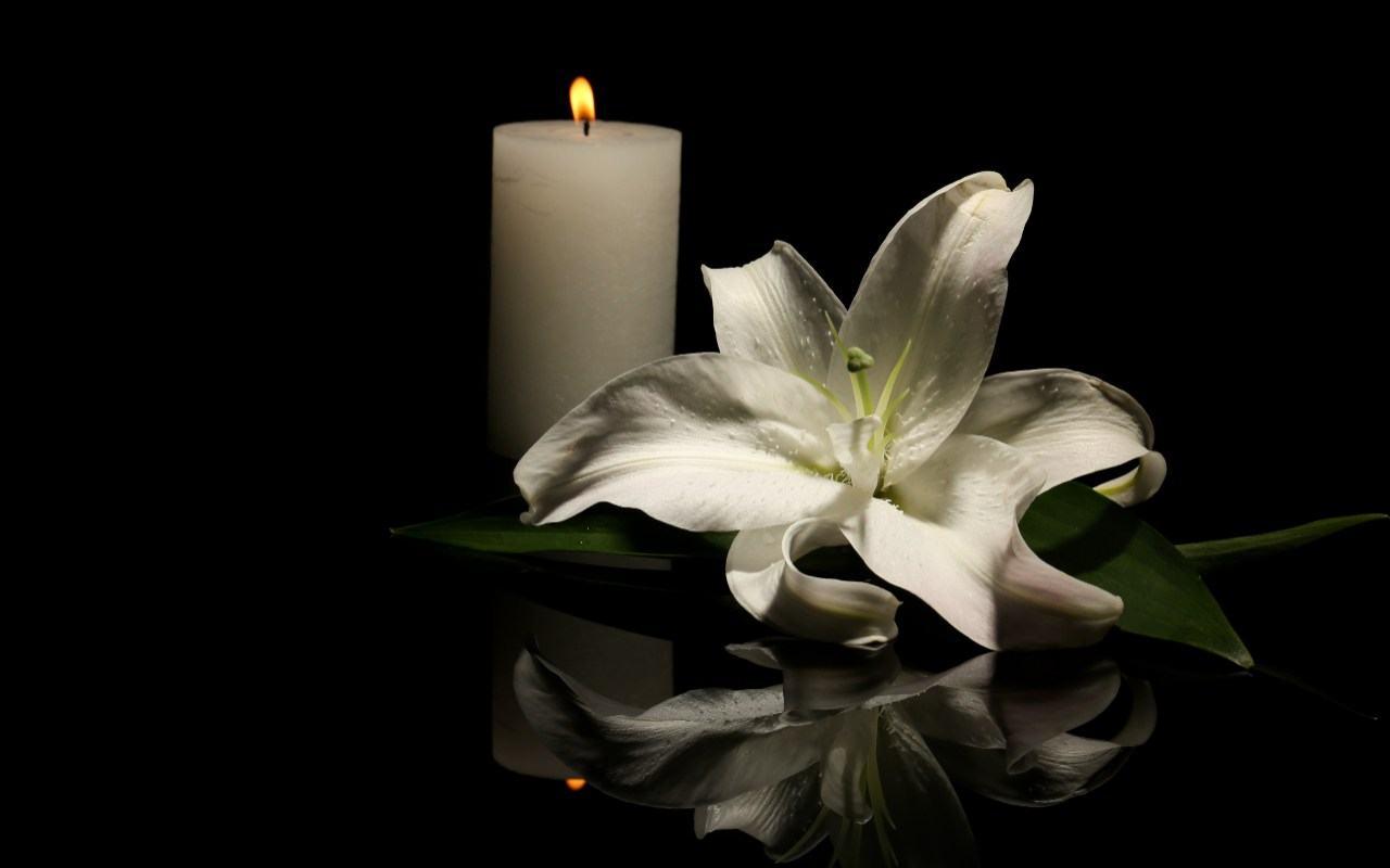 Lutto nel cinema (Adobe Stock)