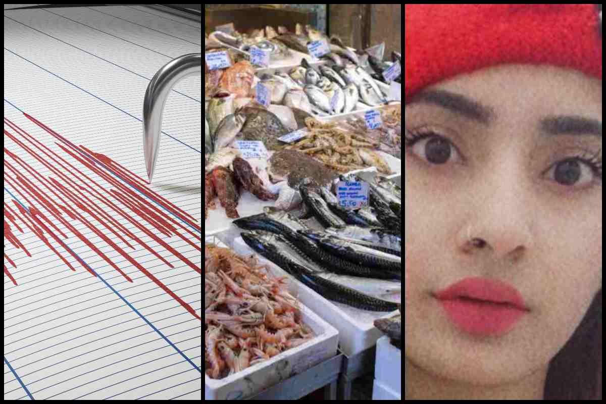 Terremoto, pesce spada, Saman Abbas (Che News, Befunky)