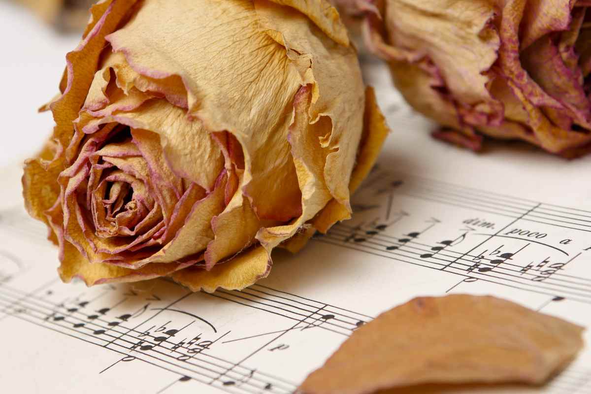 Lutto nella musica (AdobeStock)