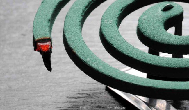 Zampirone per combattere le zanzare: i possibili rischi per la salute