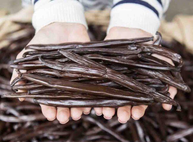 Vaniglia Tahiti (instagram)