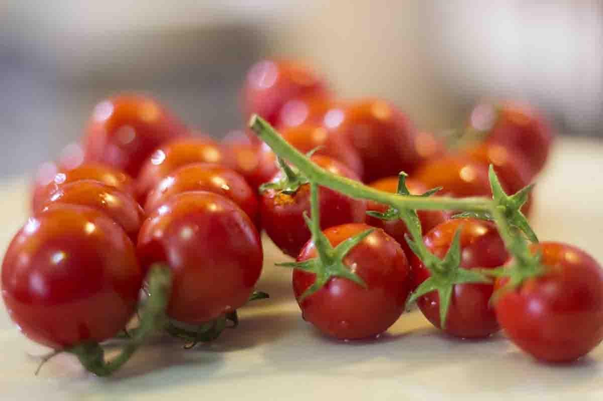 Pomodori