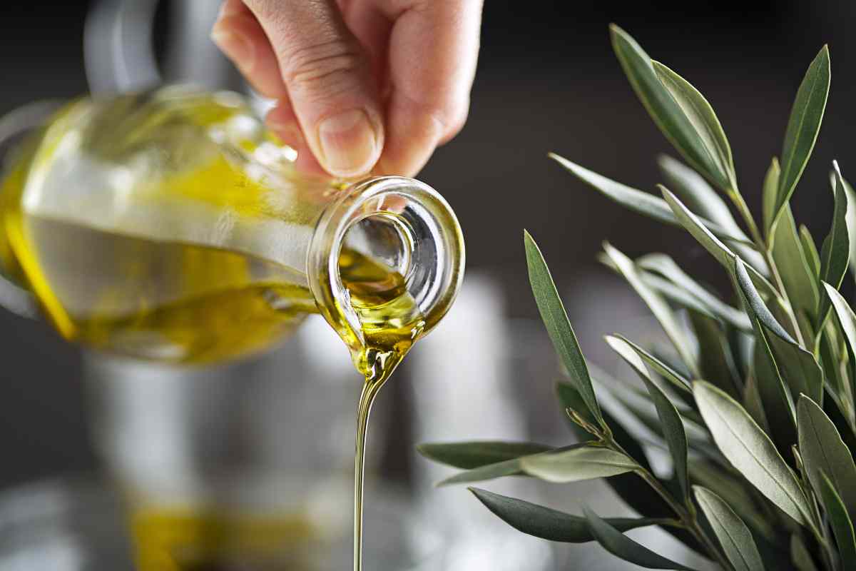 Olio di oliva (AdobeStock)
