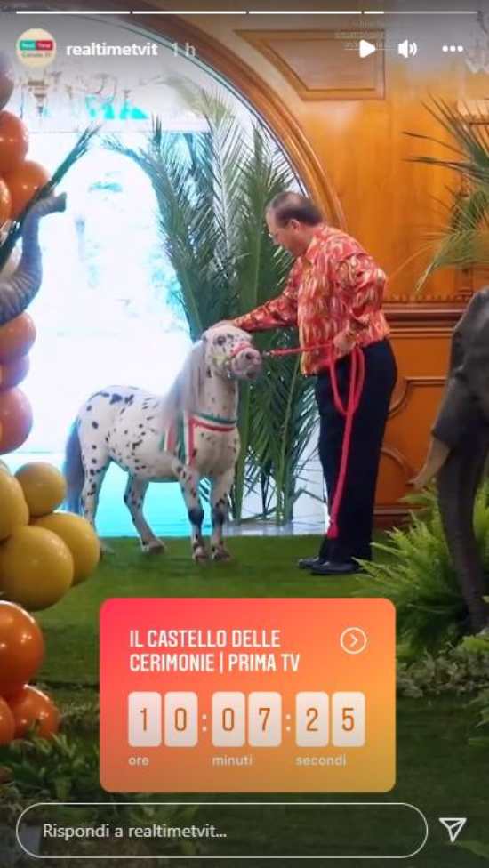 Pono pomellato e Sabatino (Screen Real Time)