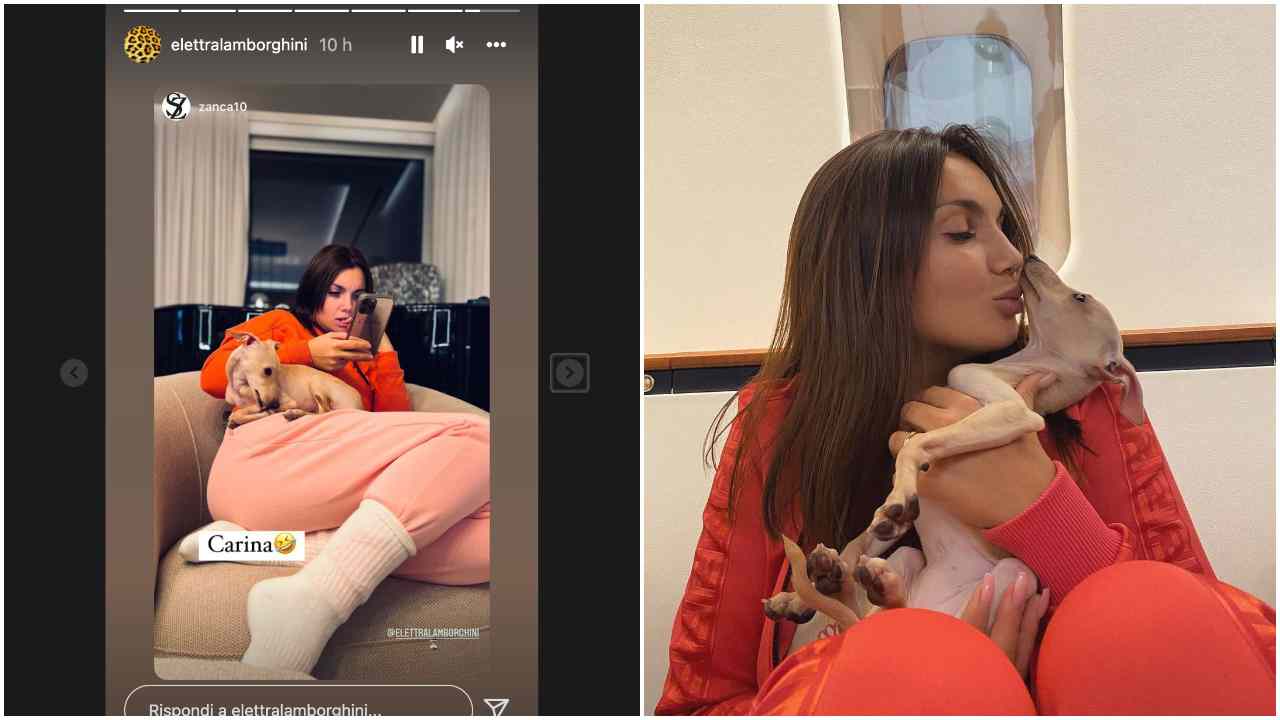 Elettra Lamborghini cagnolina