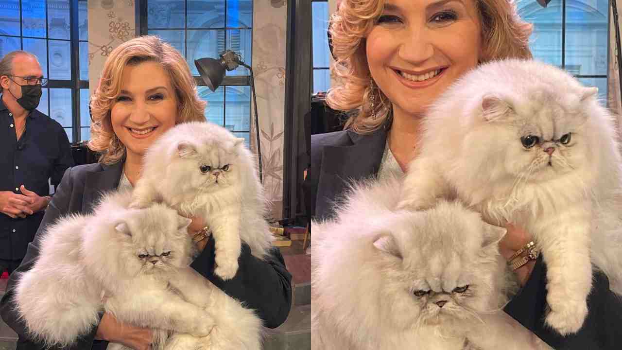 Serena Bortone e i suoi gatti