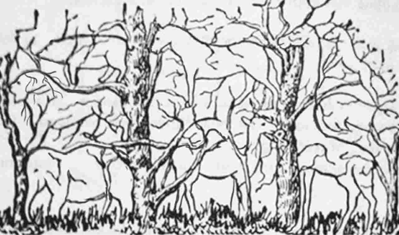 Test della personalità