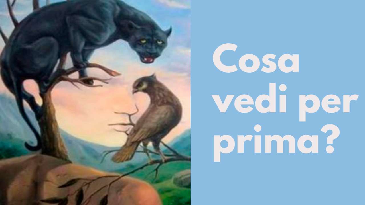 Illusione ottica, test