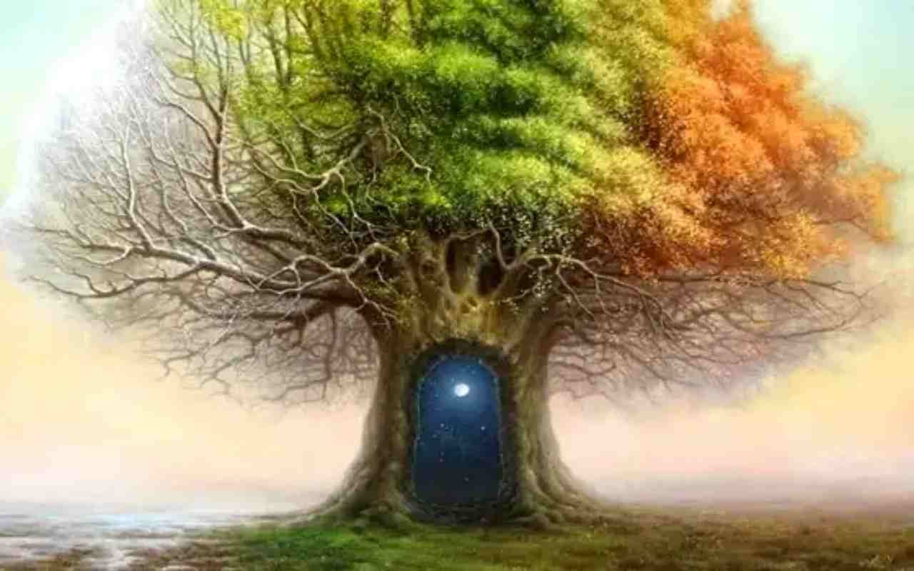 Test dell'albero di Koch