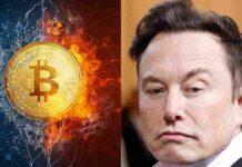 Bitcoin e Elon Musk