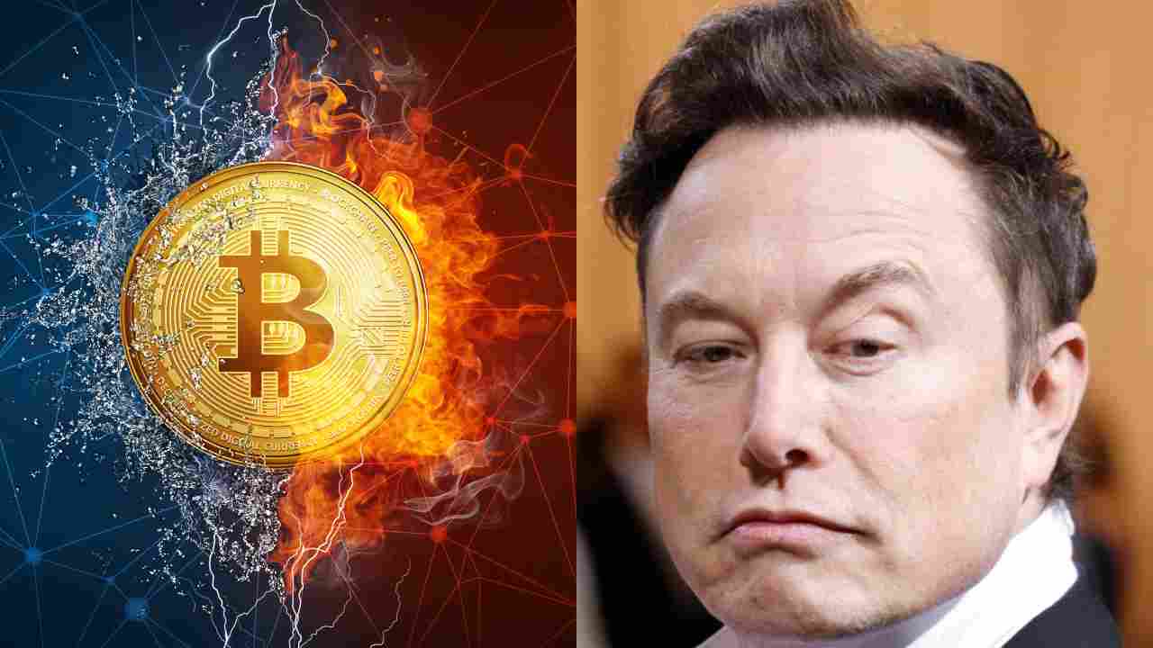 Bitcoin e Elon Musk
