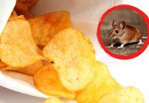 topo nelle patatine