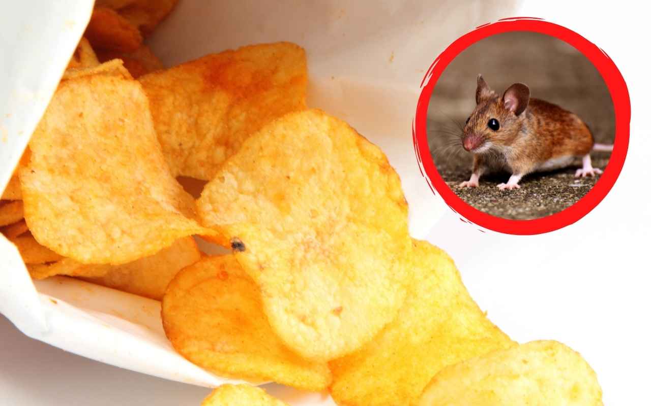 topo nelle patatine