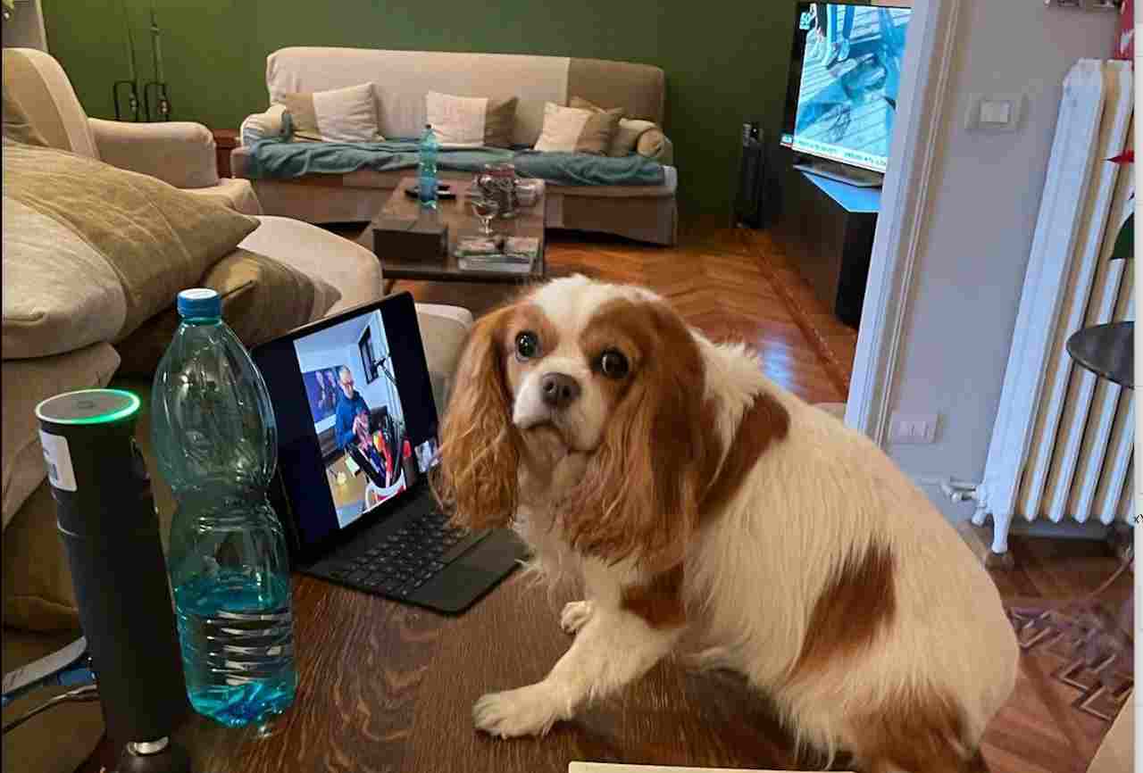 Nicola Savino salotto