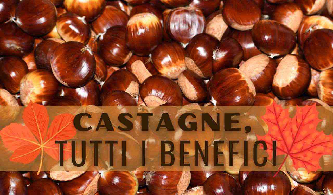 castagne benefici