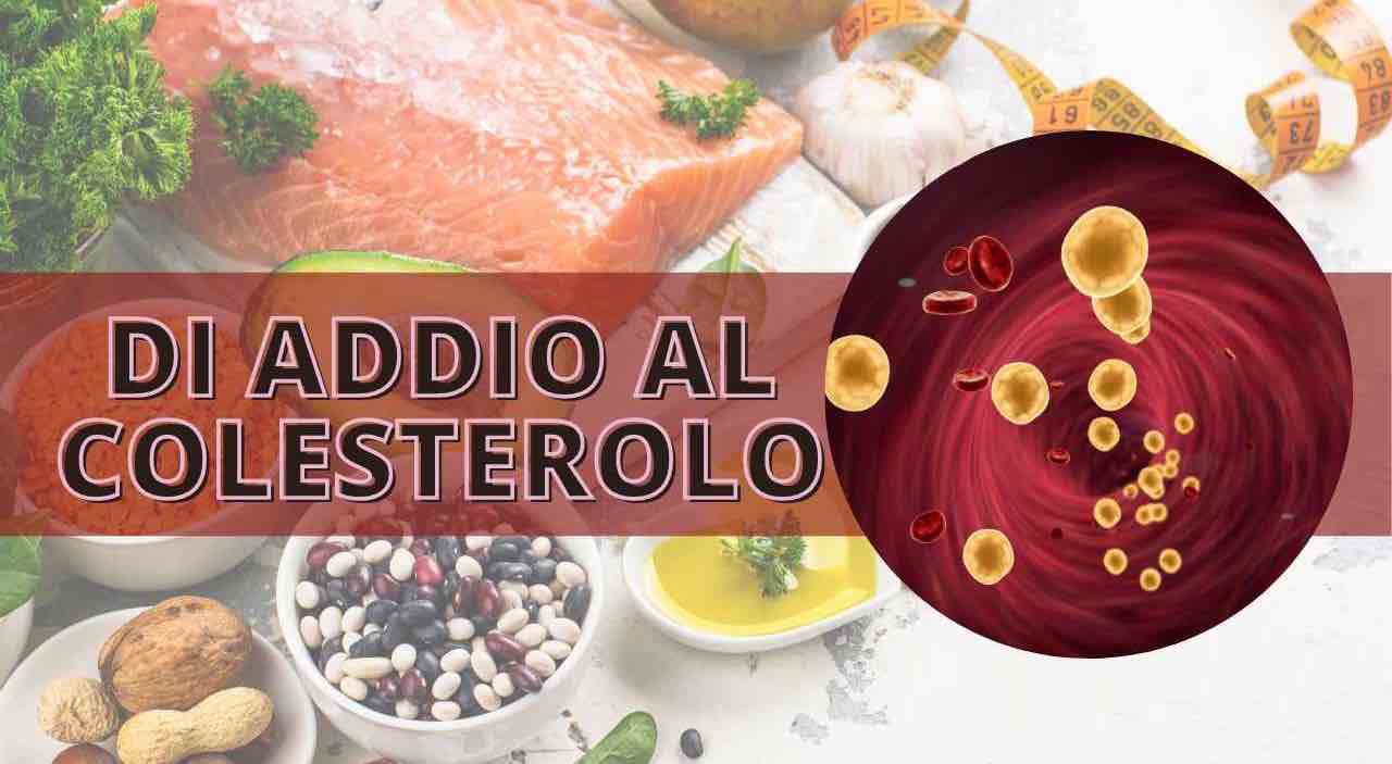 Cibo Colesterolo fonte