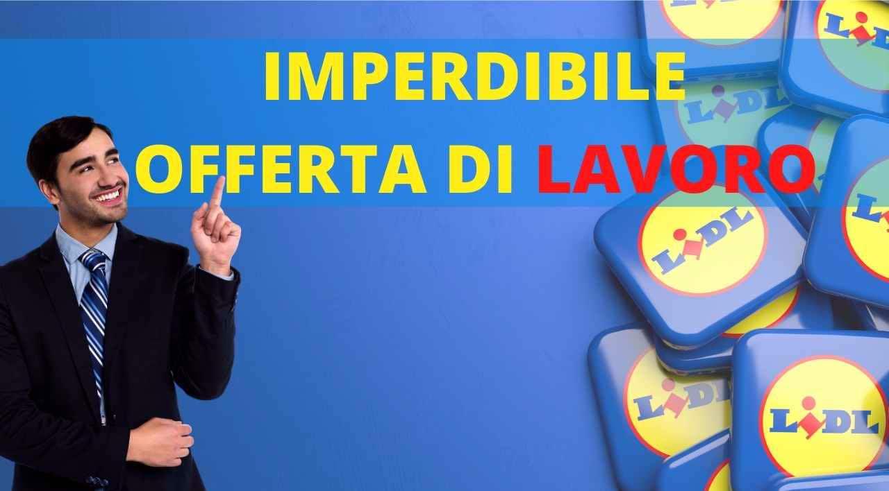 OFFERTA LAVORO LIDL