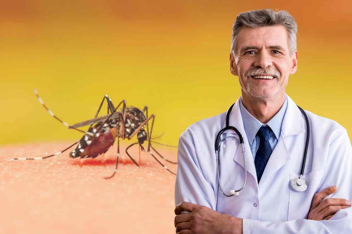 Cause e rimedi contro le punture delle zanzare