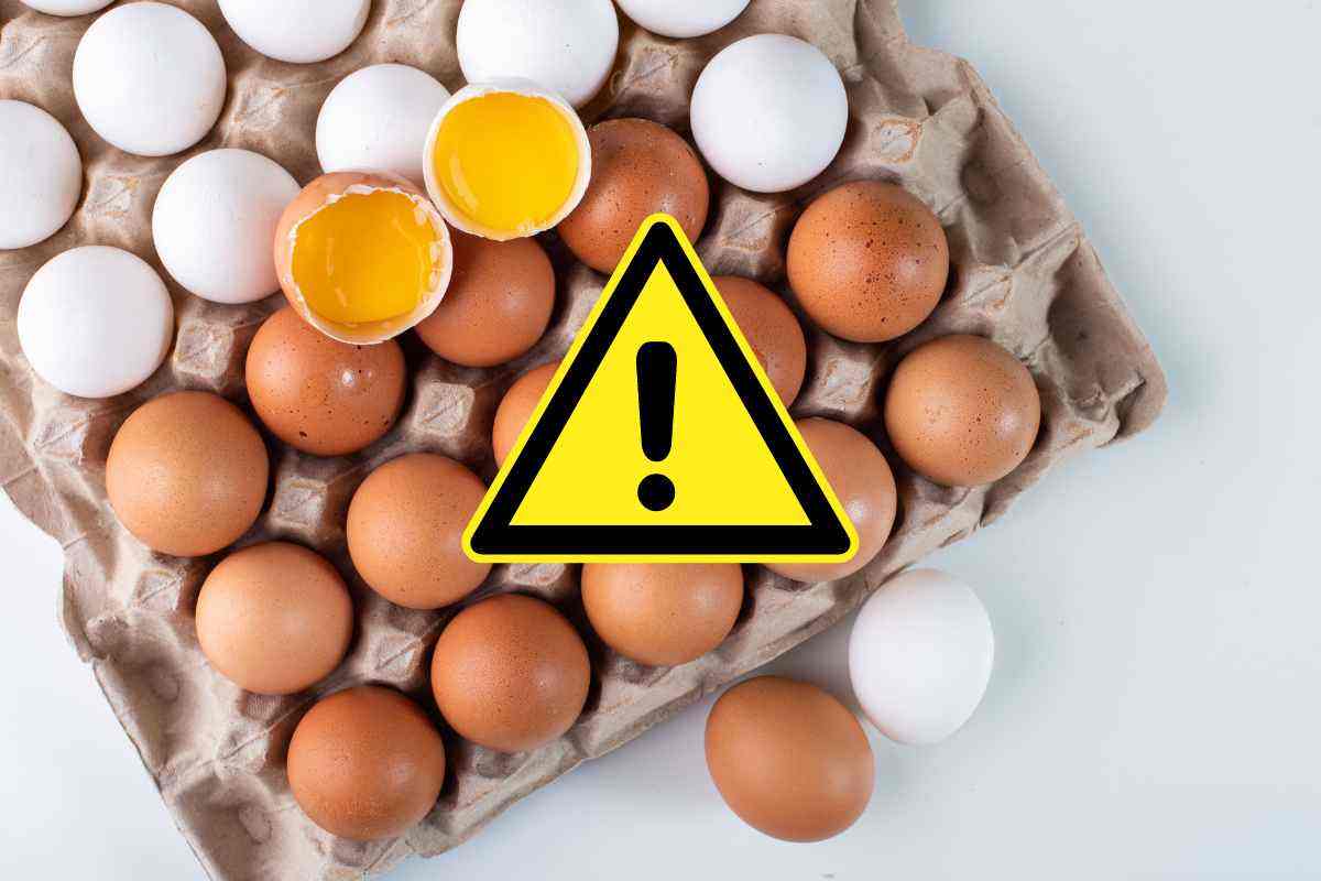 Uova pericolo galline dettaglio