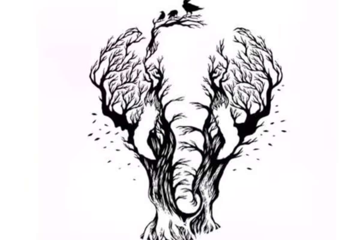 Test illusione ottica: elefante o alberi