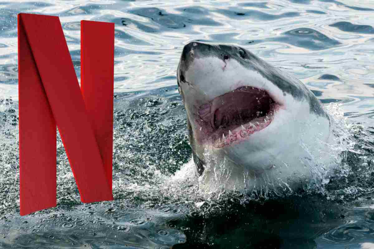Troupe Netflix attaccata dagli squali