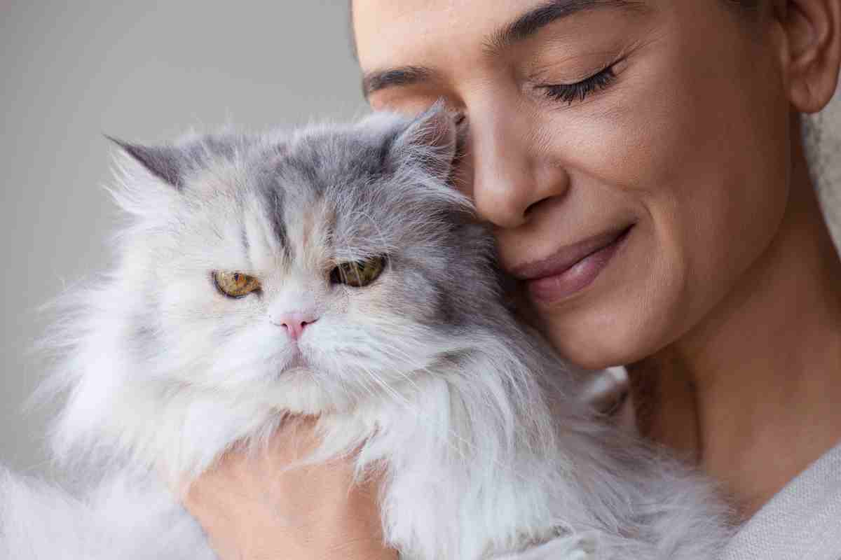 Linguaggio felino: mostrare amore al gatto