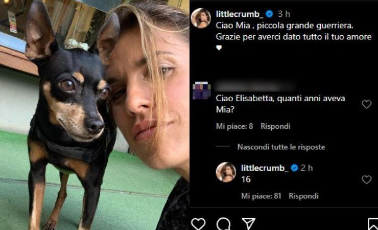 Ultimo saluto di Elisabetta Canalis a Mia